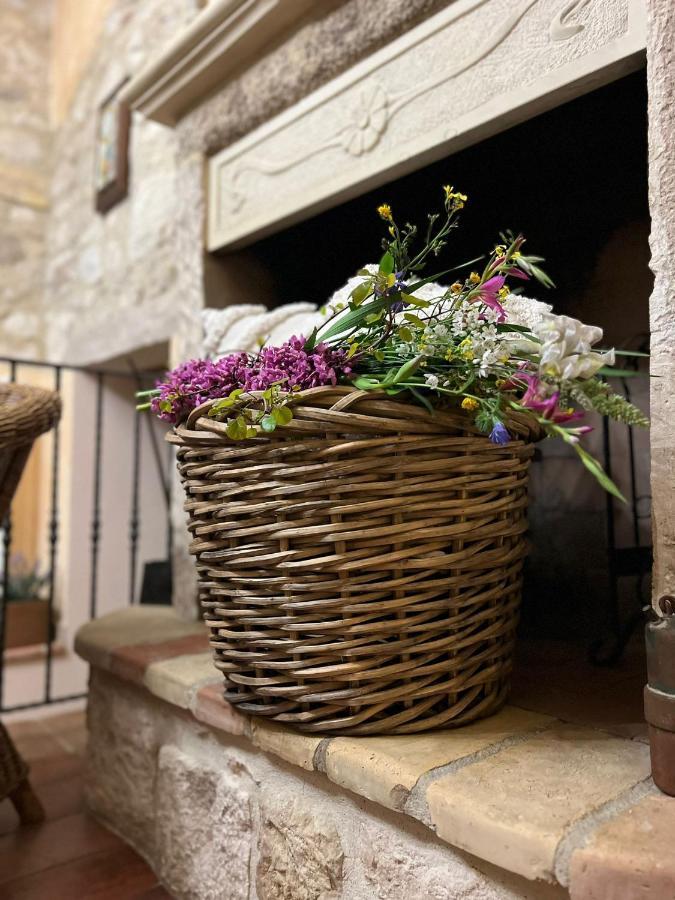 Farm stay Il Casolare Di Nonno Mario *