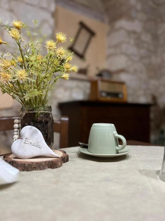 Il Casolare Di Nonno Mario Séjour à la ferme