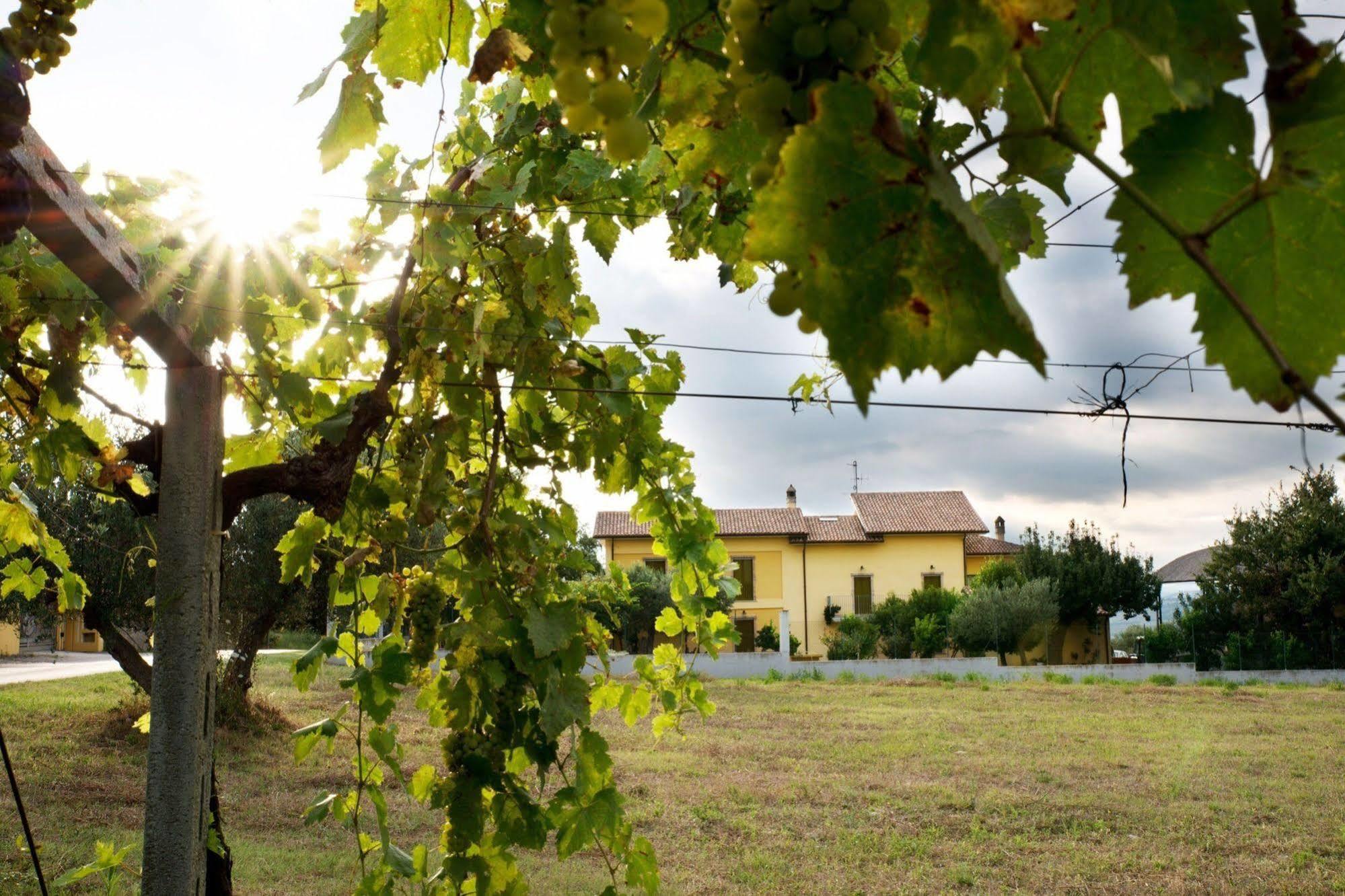 Il Casolare Di Nonno Mario *